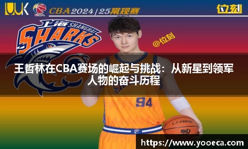 王哲林在CBA赛场的崛起与挑战：从新星到领军人物的奋斗历程