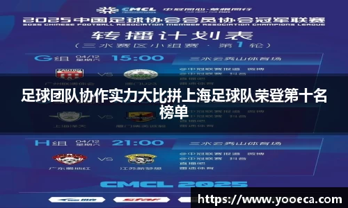 足球团队协作实力大比拼上海足球队荣登第十名榜单