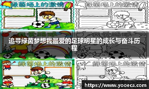 追寻绿茵梦想我最爱的足球明星的成长与奋斗历程
